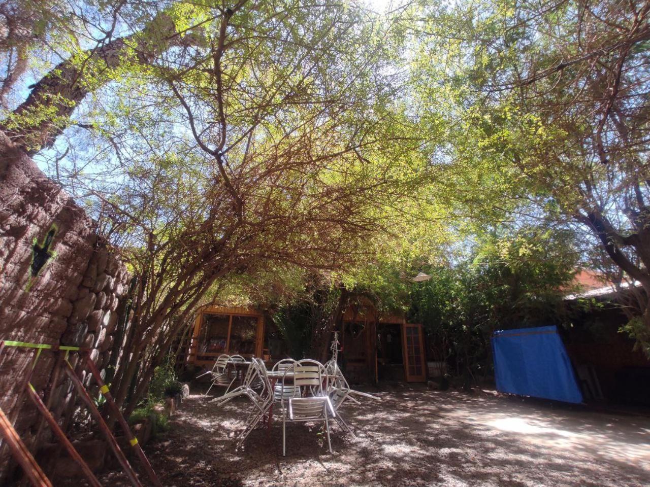 Hostal Sonchek Σαν Πέδρο ντε Ατακάμα Εξωτερικό φωτογραφία